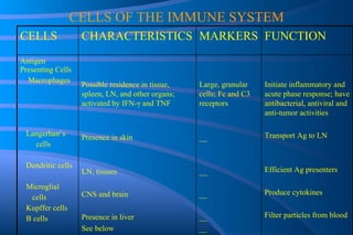 CELLS OF THE IMMUNE SYSTEM Initiate inflammatory and acute phase response; have antibacterial, antiviral and anti-tumor activities Transport Ag to LN Efficient Ag presenters Produce cytokines Filter particles from blood Large, granular cells; Fc and C3 receptors __ __ __ __ __ Possible residence in tissue, spleen, LN, and other organs; activated by IFN- γ  and TNF Presence in skin LN, tissues CNS and brain Presence in liver See below Antigen Presenting Cells Macrophages Langerhan’s  cells  Dendritic cells Microglial  cells  Kupffer cells  B cells  FUNCTION MARKERS CHARACTERISTICS CELLS 