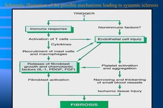 Schematic illustration of the possible mechanisms leading to systemic sclerosis 