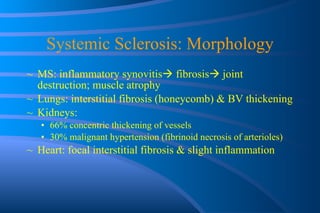 Systemic Sclerosis: Morphology MS: inflammatory synovitis   fibrosis   joint destruction; muscle atrophy Lungs: interstitial fibrosis (honeycomb) & BV thickening Kidneys: 66% concentric thickening of vessels 30% malignant hypertension (fibrinoid necrosis of arterioles) Heart: focal interstitial fibrosis & slight inflammation 