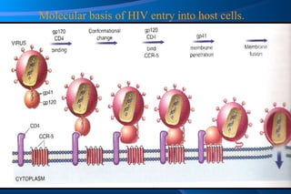 Molecular basis of HIV entry into host cells. 
