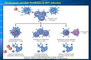 Mechanisms of CD4+ T-cell loss in HIV infection 