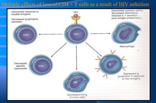Multiple effects of loss of CD4 + T cells as a result of HIV infection 