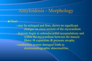 Amyloidosis - Morphology ◘  Heart - may be enlarged and firm, shows no significant  changes on cross-section of the myocardium - deposits begin in subendocardial accumulations and  within the myocardium between the muscle  fibers    expansion    pressure atrophy - conduction system damaged leads to  electrocardiographic abnormalities  