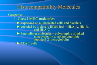 Histocompatibility Molecules Categories: 1. Class I MHC molecules ►  expressed on all nucleated cells and platelets ►  encoded by 3 closely linked loci – HLA-A, Hla-B,  and HLA-C ►  heterodimer molecules – polymorphic  α  linked  noncovalently to nonpolymorphic    peptide  β -2 microglobulin ►  CD8 T cells 