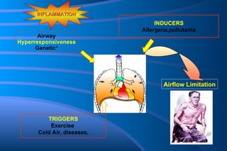 INFLAMMATION Airflow Limitation TRIGGERS Exercise  Cold Air, diseases,  Airway Hyperresponsiveness Genetic* INDUCERS Allergens,pollutants 