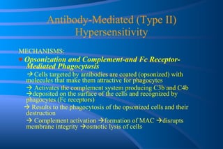 Antibody-Mediated (Type II) Hypersensitivity MECHANISMS: ♥  Opsonization and Complement-and Fc Receptor-Mediated Phagocytosis    Cells targeted by antibodies are coated (opsonized) with molecules that make them attractive for phagocytes    Activates the complement system producing C3b and C4b   deposited on the surface of the cells and recognized by phagocytes (Fc receptors)    Results to the phagocytosis of the opsonized cells and their destruction    Complement activation   formation of MAC   disrupts membrane integrity   osmotic lysis of cells 