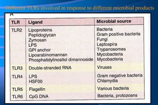 Different TLRs involved in response to different microbial products 