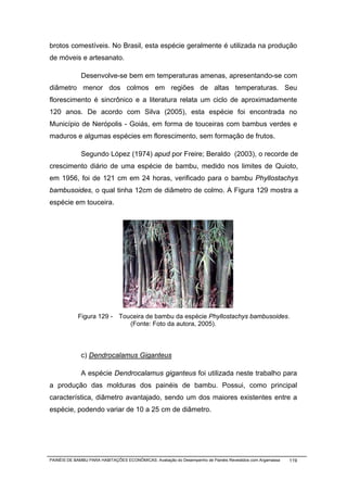 brotos comestíveis. No Brasil, esta espécie geralmente é utilizada na produção
de móveis e artesanato.

              Desenvolve-se bem em temperaturas amenas, apresentando-se com
diâmetro menor dos colmos em regiões de altas temperaturas. Seu
florescimento é sincrônico e a literatura relata um ciclo de aproximadamente
120 anos. De acordo com Silva (2005), esta espécie foi encontrada no
Município de Nerópolis - Goiás, em forma de touceiras com bambus verdes e
maduros e algumas espécies em florescimento, sem formação de frutos.

              Segundo López (1974) apud por Freire; Beraldo (2003), o recorde de
crescimento diário de uma espécie de bambu, medido nos limites de Quioto,
em 1956, foi de 121 cm em 24 horas, verificado para o bambu Phyllostachys
bambusoides, o qual tinha 12cm de diâmetro de colmo. A Figura 129 mostra a
espécie em touceira.




            Figura 129 - Touceira de bambu da espécie Phyllostachys bambusoides.
                            (Fonte: Foto da autora, 2005).



              c) Dendrocalamus Giganteus

              A espécie Dendrocalamus giganteus foi utilizada neste trabalho para
a produção das molduras dos painéis de bambu. Possui, como principal
característica, diâmetro avantajado, sendo um dos maiores existentes entre a
espécie, podendo variar de 10 a 25 cm de diâmetro.




PAINÉIS DE BAMBU PARA HABITAÇÕES ECONÔMICAS: Avaliação do Desempenho de Painéis Revestidos com Argamassa   119
 