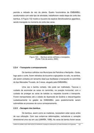 permite a retirada da raiz da planta. Quatro funcionários da EMBAMBU,
acostumados com este tipo de atividade, trabalharam nesta etapa de corte dos
bambus. A Figura 132 mostra a touceira da espécie Dendrocalamus giganteus,
sendo manejada no momento do corte das varas.




                          Figura 132 - Bambus sendo colhidos e manejados.
                                 (Fonte: Foto da autora, 2005).



2.2.4 - Transporte e armazenamento

              Os bambus colhidos nos Municípios de Petrolina e Nerópolis - Goiás,
logo após o corte, foram retirados da touceira e agrupados no solo, na sombra,
até serem cortados em tamanho ideal que facilitasse o transporte no caminhão
do tipo Mercedes Trucado, de 3 eixos, alugado pela EMBAMBU.

              Uma vez o bambu cortado, não pode ser maltratado. Teve-se o
cuidado de acomodar as varas no caminhão, na posição horizontal, com o
cuidado de proteger as varas de batidas ou raspadas durante o transporte.
Foram transportados até a cidade de Aparecida de Goiânia e descarregados
cuidadosamente no galpão da EMBAMBU, para posteriormente serem
submetidas ao processo de cura e armazenamento.

2.2.5 - Secagem dos bambus

              Os bambus, assim como as madeiras, necessitam estar secos antes
de sua utilização. Com isso evitam-se deformações, rachaduras e variação
dimensional uma vez em uso (UMAÑA, 1998). As varas de bambu foram secas

PAINÉIS DE BAMBU PARA HABITAÇÕES ECONÔMICAS: Avaliação do Desempenho de Painéis Revestidos com Argamassa   122
 