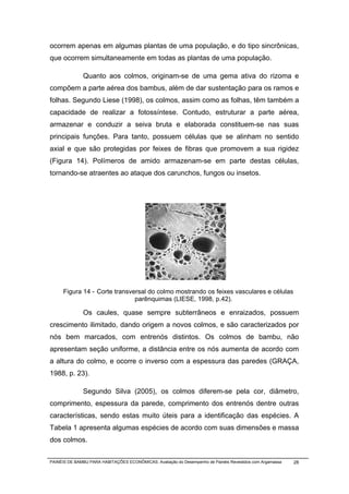 ocorrem apenas em algumas plantas de uma população, e do tipo sincrônicas,
que ocorrem simultaneamente em todas as plantas de uma população.

              Quanto aos colmos, originam-se de uma gema ativa do rizoma e
compõem a parte aérea dos bambus, além de dar sustentação para os ramos e
folhas. Segundo Liese (1998), os colmos, assim como as folhas, têm também a
capacidade de realizar a fotossíntese. Contudo, estruturar a parte aérea,
armazenar e conduzir a seiva bruta e elaborada constituem-se nas suas
principais funções. Para tanto, possuem células que se alinham no sentido
axial e que são protegidas por feixes de fibras que promovem a sua rigidez
(Figura 14). Polímeros de amido armazenam-se em parte destas células,
tornando-se atraentes ao ataque dos carunchos, fungos ou insetos.




      Figura 14 - Corte transversal do colmo mostrando os feixes vasculares e células
                               parênquimas (LIESE, 1998, p.42).

              Os caules, quase sempre subterrâneos e enraizados, possuem
crescimento ilimitado, dando origem a novos colmos, e são caracterizados por
nós bem marcados, com entrenós distintos. Os colmos de bambu, não
apresentam seção uniforme, a distância entre os nós aumenta de acordo com
a altura do colmo, e ocorre o inverso com a espessura das paredes (GRAÇA,
1988, p. 23).

              Segundo Silva (2005), os colmos diferem-se pela cor, diâmetro,
comprimento, espessura da parede, comprimento dos entrenós dentre outras
características, sendo estas muito úteis para a identificação das espécies. A
Tabela 1 apresenta algumas espécies de acordo com suas dimensões e massa
dos colmos.


PAINÉIS DE BAMBU PARA HABITAÇÕES ECONÔMICAS: Avaliação do Desempenho de Painéis Revestidos com Argamassa   28
 