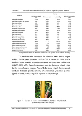 Tabela 1 -        Dimensões e massa de colmos de diversas espécies (valores médios).

                                                                               Colmo
          Espécies
                                     Comprimento útil                                               Compr. internódios
                                                            Diâmetro (cm)         Massa (kg)
                                          (m)                                                             (cm)
 Bambusa vulgares                        10,70                    8,10               12,50               32,00
 Bambusa vulgaris var. vittata            9,30                   7,20                10,30               34,00
 Bambusa oldhami                          9,90                    6,90                8,40               41,00
 Bambusa nutans                          10,00                    5,80                7,80               38,00
 Bambusa tulda                           11,90                    6,60               11,90               49,00
 Bambusa beecheyana                       9,00                    7,80               10,50               28,00
 Bambusa stenostachya                    15,10                    8,20               17,50               35,00
 Bambusa tuldoides                        9,20                    4,30               3,80                46,00
 Bambusa textilis                         8,10                    4,80                3,30               44,00
 Bambusa ventricosa                       9,30                    4,80                4,50               44,00
 Bambusa maligensis                       7,40                    4,30                3,50               28,00
 Bambusa dissimulator                     9,50                    4,60               5,20                41,00
 Dendrocalamus asper                     14,50                   12,20               61,30               34,00
 Dendrocalamus latiflorus                11,50                   11,50               40,70               37,00
 Dendrocalamus strictus                  10,50                    7,60               15,00               38,00
 Dendrocalamus Giganteus                 16,00                   14,20               84,50               34,00
 Ochlandra travancorica                  11,30                    9,40               26,00               40,00
 Phylostachys edulis                      4,40                    3,60                2,10               15,00
              Comprimento útil até um diâmetro mínimo de 3 cm. (Fonte: SALGADO et al, 1994).

              As espécies mais conhecidas de bambu no Brasil são de origem
asiática, trazidas pelos primeiros colonizadores e, devido ao clima tropical
brasileiro, essas espécies adequaram-se bem e se expandiram rapidamente
(GRAÇA, 1988, p.17). As espécies mais comuns são: Bambusa vulgaris vittata
(bambu-imperial), como mostra a Figura 15, Bambusa vulgaris (bambu-verde),
Bambusa tuldoides (bambu-comum), Dendrocalamus giganteus (bambu-
gigante ou bambu-balde) e algumas espécies de Phyllostachys.




         Figura 15 - Espécie de bambu comum no Brasil, Bambusa vulgaris vittata.
                               (Fonte: Foto de Roberto Magno)


PAINÉIS DE BAMBU PARA HABITAÇÕES ECONÔMICAS: Avaliação do Desempenho de Painéis Revestidos com Argamassa    29
 