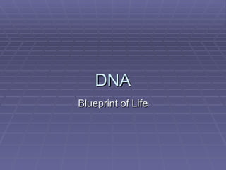 DNA Blueprint of Life 