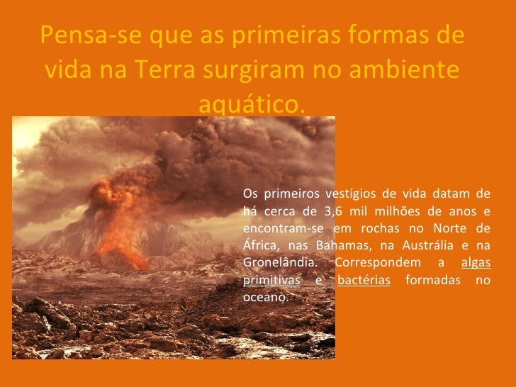 Onde Surgiram As Primeiras Formas De Vida
