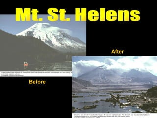 Mt. St. Helens Before After 