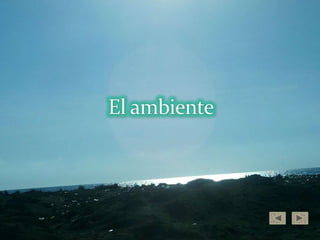 El ambiente