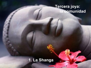 Tercera joya:
la comunidad
1. La Shanga
 