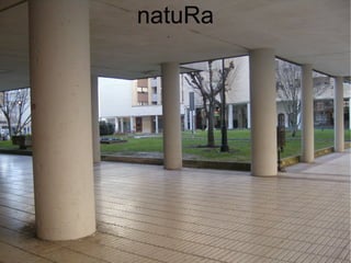 natuRa 