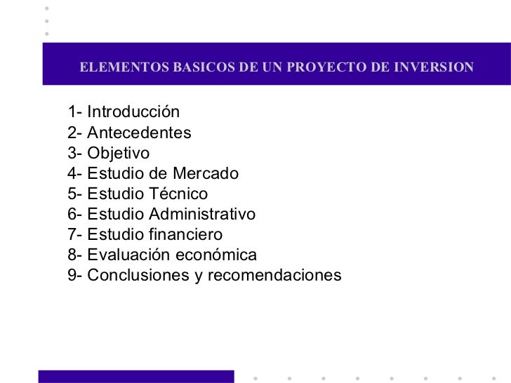 elementos básicos de proyectos de inversión