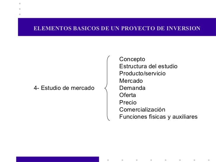 elementos básicos de proyectos de inversión