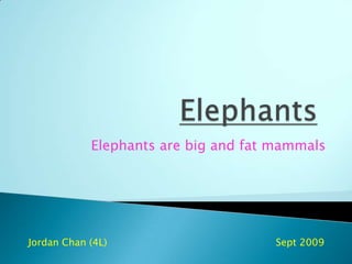 Elephants Elephants are big and fat mammals Jordan Chan (4L)             		                       Sept 2009 