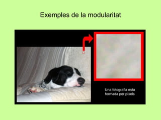 Exemples de la modularitat Una fotografia esta formada per píxels 