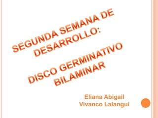 SEGUNDA SEMANA DE DESARROLLO: DISCO GERMINATIVO BILAMINAR Eliana Abigail Vivanco Lalangui 
