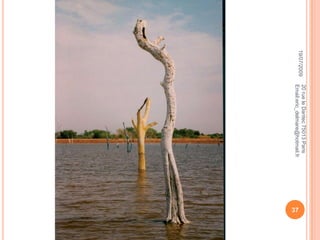 16/07/200920 rue le Dantec 75013 Paris                                    Email:eric_delmare@hotmail.fr37