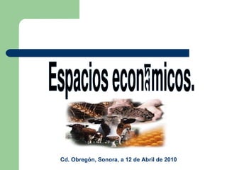 Espacios económicos.  Cd. Obregón, Sonora, a 12 de Abril de 2010 