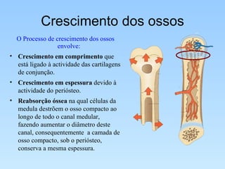 Crescimento dos ossos O Processo de crescimento dos ossos envolve:  Crescimento em comprimento  que está ligado à actividade das cartilagens de conjunção.  Crescimento em espessura  devido à actividade do periósteo. Reabsorção óssea  na qual células da medula destrõem o osso compacto ao longo de todo o canal medular, fazendo aumentar o diâmetro deste canal, consequentemente  a camada de osso compacto, sob o periósteo, conserva a mesma espessura. 