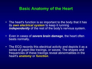 Basic Anatomy of the Heart The heart's function is so important to the body that it has its  own electrical system  to keep it running  independently  of the rest of the body's nervous system. Even in cases of  severe brain damage , the heart often beats normally.  The ECG records this electrical activity and depicts it as a series of graph-like tracings, or waves. The shapes and frequencies of these tracings reveal abnormalities in the heart's  anatomy  or  function .  