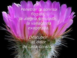 Penetrar la sonrisa fingida,  la alegría simulada,  la vanagloria exagerada. Descubrir  el dolor de cada corazón. 