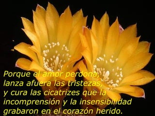 Porque el amor perdona,  lanza afuera las tristezas,  y cura las cicatrizes que la incomprensión y la insensibilidad grabaron en el corazón herido. 
