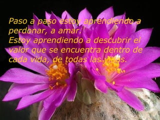 Paso a paso   estoy aprendiendo a perdonar, a amar.  Estoy aprendiendo a descubrir el valor que se encuentra dentro de cada vida,   de todas las vidas. 