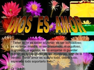 DIOS  ES  AMOR “  Tener amor es saber soportar: es ser bondadoso; es no tener envidia, ni ser presumido, ni orgulloso, ni grosero, ni egoísta; es no enojarse ni guardar rencor; es no alegrarse de las injusticias, sino de la verdad. Tener amor es sufrirlo todo, ceerlo todo, esperarlo todo soportarlo todo.”      (1 Cr 13.4-7) 