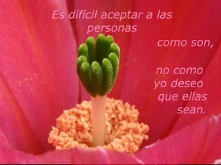 Es difícil aceptar a las personas como son, no como  yo deseo  que ellas sean . 