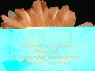 Descubrir la angústia disfrazada, la inseguridad enmascarada,  la soledad encubierta.  