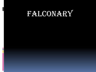 FALCONARY,[object Object]