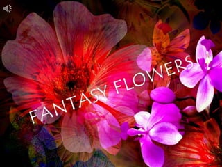 FANTASY FLOWERS,[object Object]