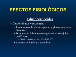 EFECTOS FISIOLÓGICOS Glucocorticoides Carbohidratos y proteínas: Incremento en la gluconeogénesis y glucógenogenesis hepáticas. Disminución del consumo de glucosa en los tejidos periféricos. Disminución en la expresión de GLUT. Aumento de lipolisis y proteolisis. 
