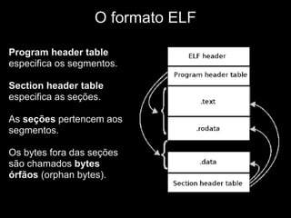 O formato ELF

Program header table
especifica os segmentos.

Section header table
especifica as seções.

As seções pertencem aos
segmentos.

Os bytes fora das seções
são chamados bytes
órfãos (orphan bytes).
 