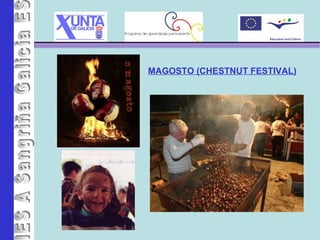 IES A Sangriña MAGOSTO (CHESTNUT FESTIVAL) 