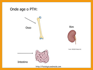 Onde age o PTH: Osso Intestino Rim http://fisiologia.webnode.com Fonte: SERVIER Medical Art 