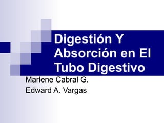 Digestión Y Absorción en El Tubo Digestivo Marlene Cabral G.  Edward A. Vargas 