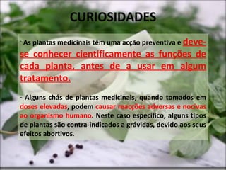 CURIOSIDADES As plantas medicinais têm uma acção preventiva e  deve-se conhecer cientificamente as funções de cada planta, antes de a usar em algum tratamento. Alguns chás de plantas medicinais, quando tomados em  doses elevadas , podem  causar reacções adversas e nocivas ao organismo humano . Neste caso específico, alguns tipos de plantas são contra-indicados a grávidas, devido aos seus efeitos abortivos . 