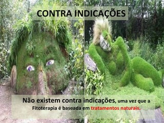 CONTRA INDICAÇÕES Não existem contra indicações , uma vez que a Fitoterapia é baseada em  tratamentos naturais. 