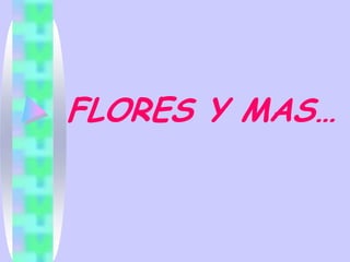 FLORES Y MAS… 