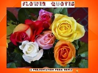 FLOWER QUOTES