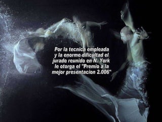 Por la tecnica empleada y la enorme dificultad el jurado reunido en N. York le otorga el "Premio a la mejor presentacion 2.006"