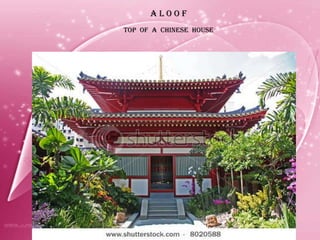 A L O O F TOP  OF  A  CHINESE  HOUSE 