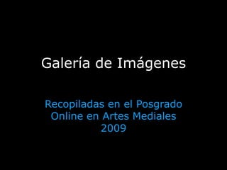 Galería de Imágenes Recopiladas en el Posgrado Online en Artes Mediales 2009 